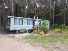 Beautiful holiday home near the pine forest